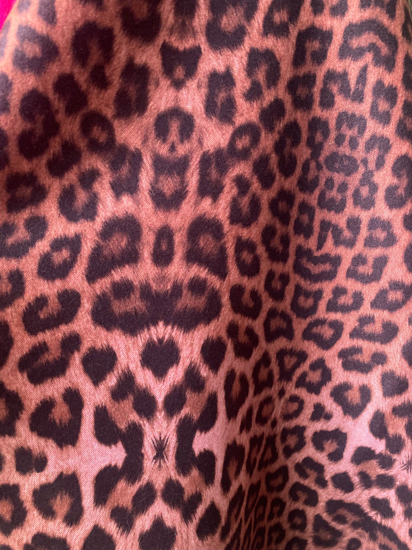 Animal Print and Hot Pink Scarf