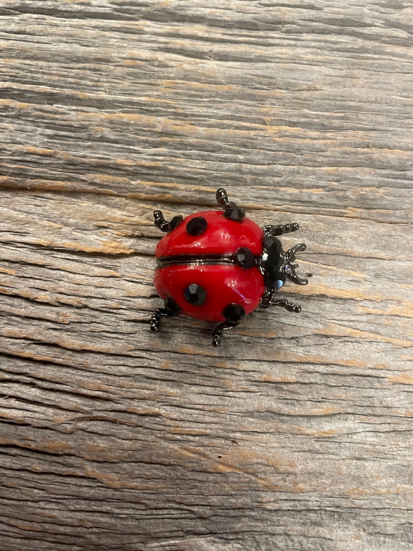 Red and Black ladybug brooch pin