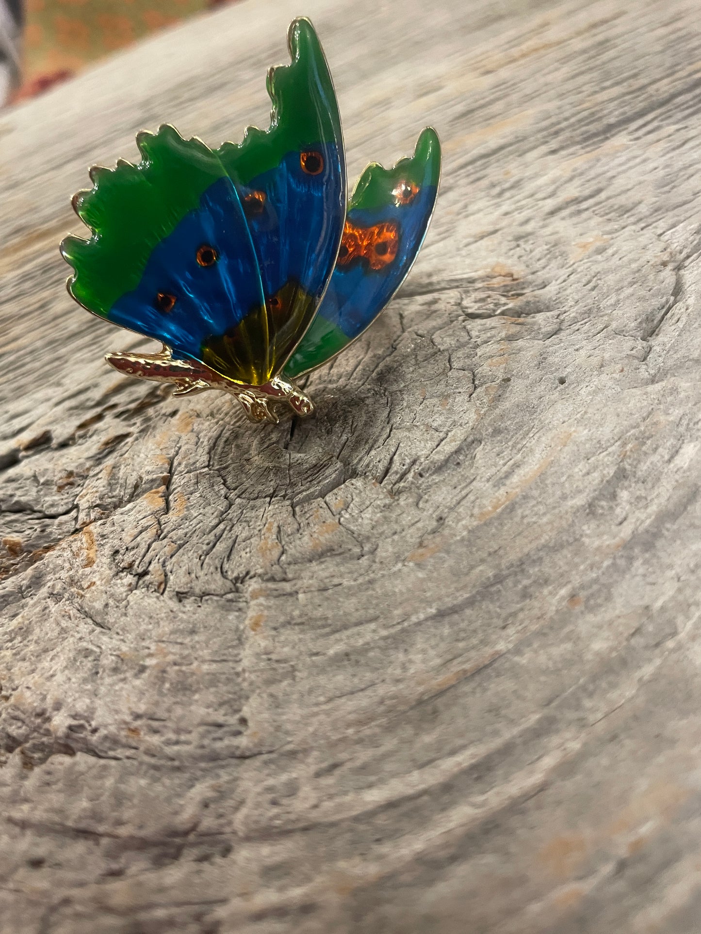 Multi Colour Butterfly Pin Brooch
