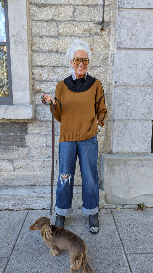Cotton Ribbed Knit Collar Sweater - TAN and BLACK
